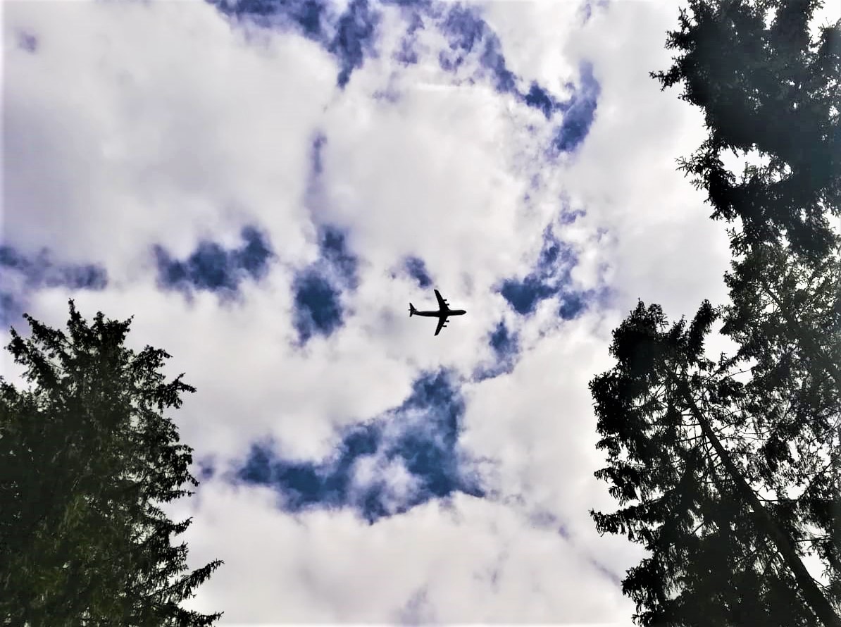 Airplane flying over a forest