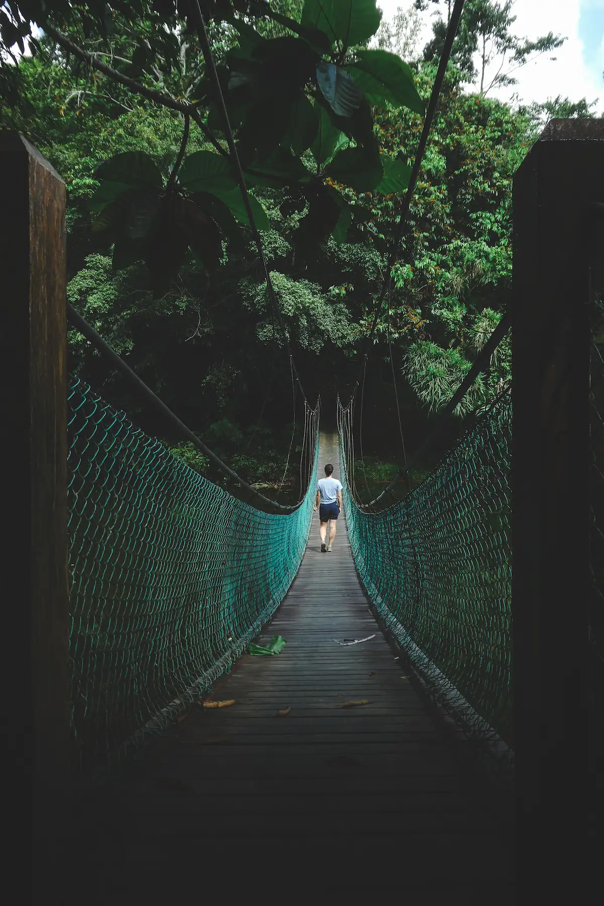Woman on a suspension bridge in the rainforest walking away from the camera