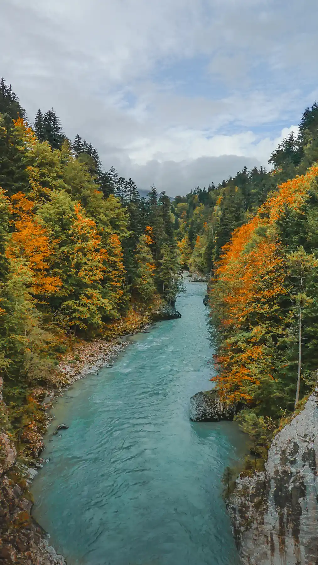 Turquoise blue mountain river flowing through autumn forest