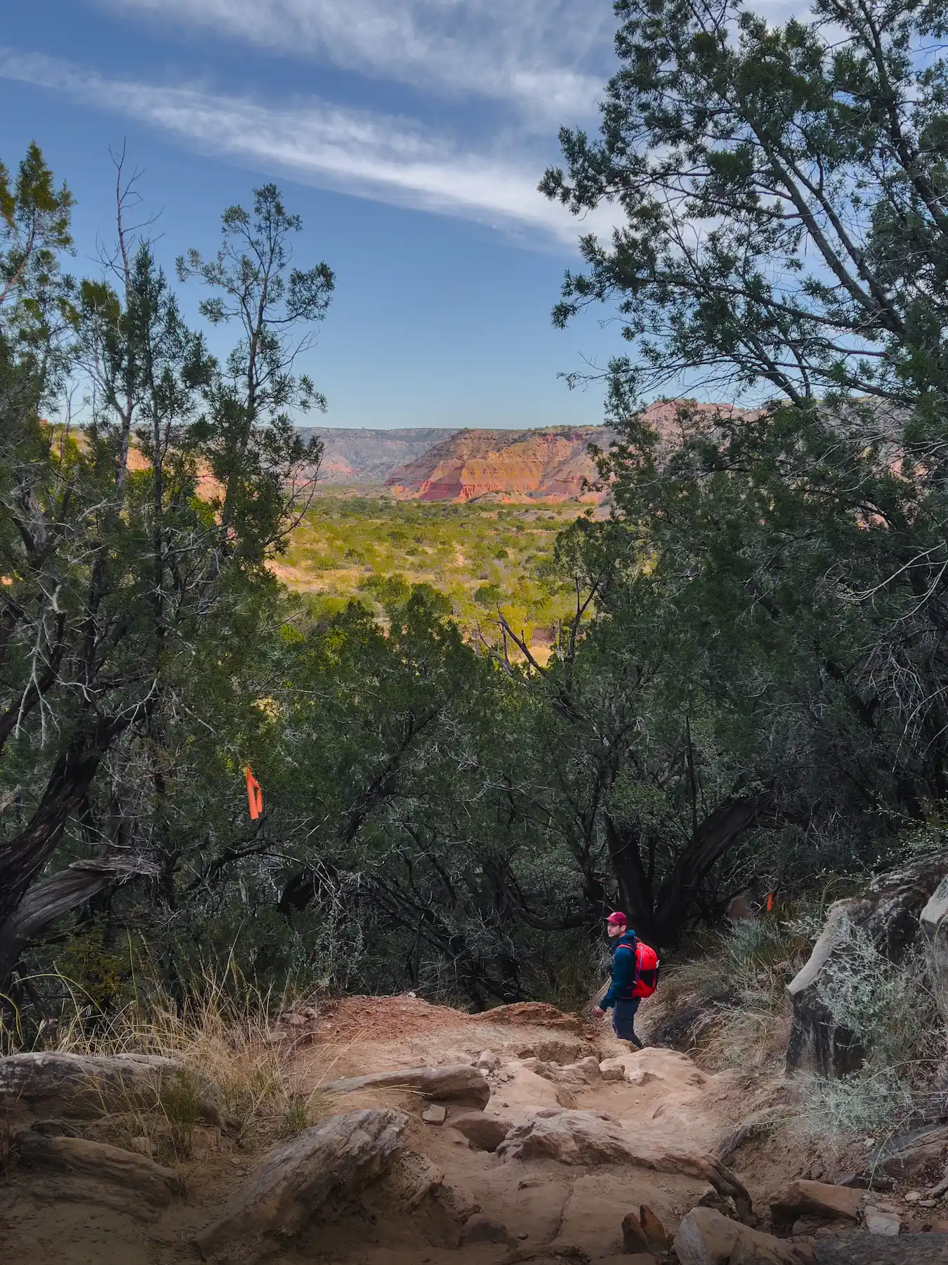 Man walking among trees palo duro canyon amarillo texas