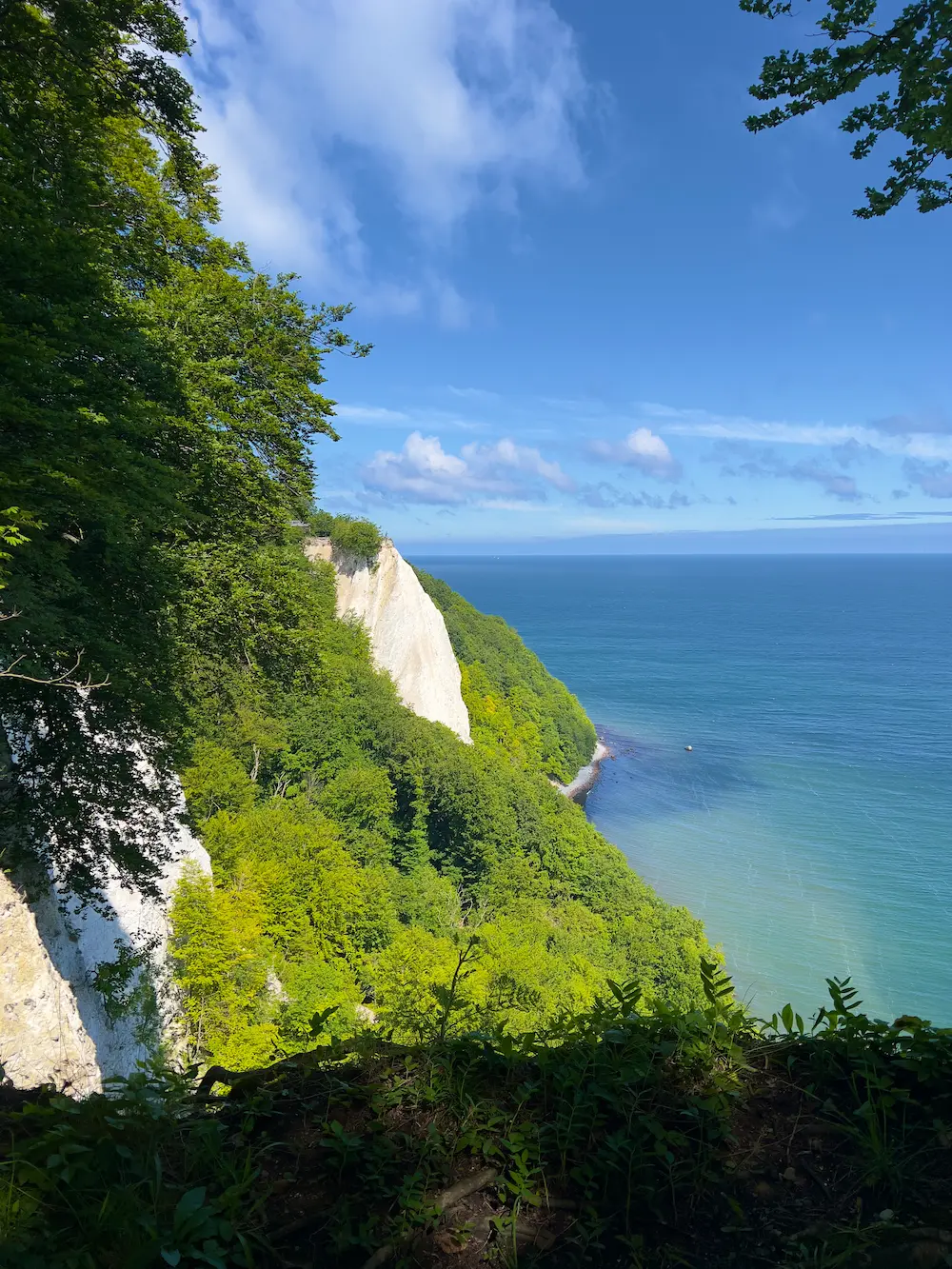 Rügen VIktoriasicht White Cliffs Germany