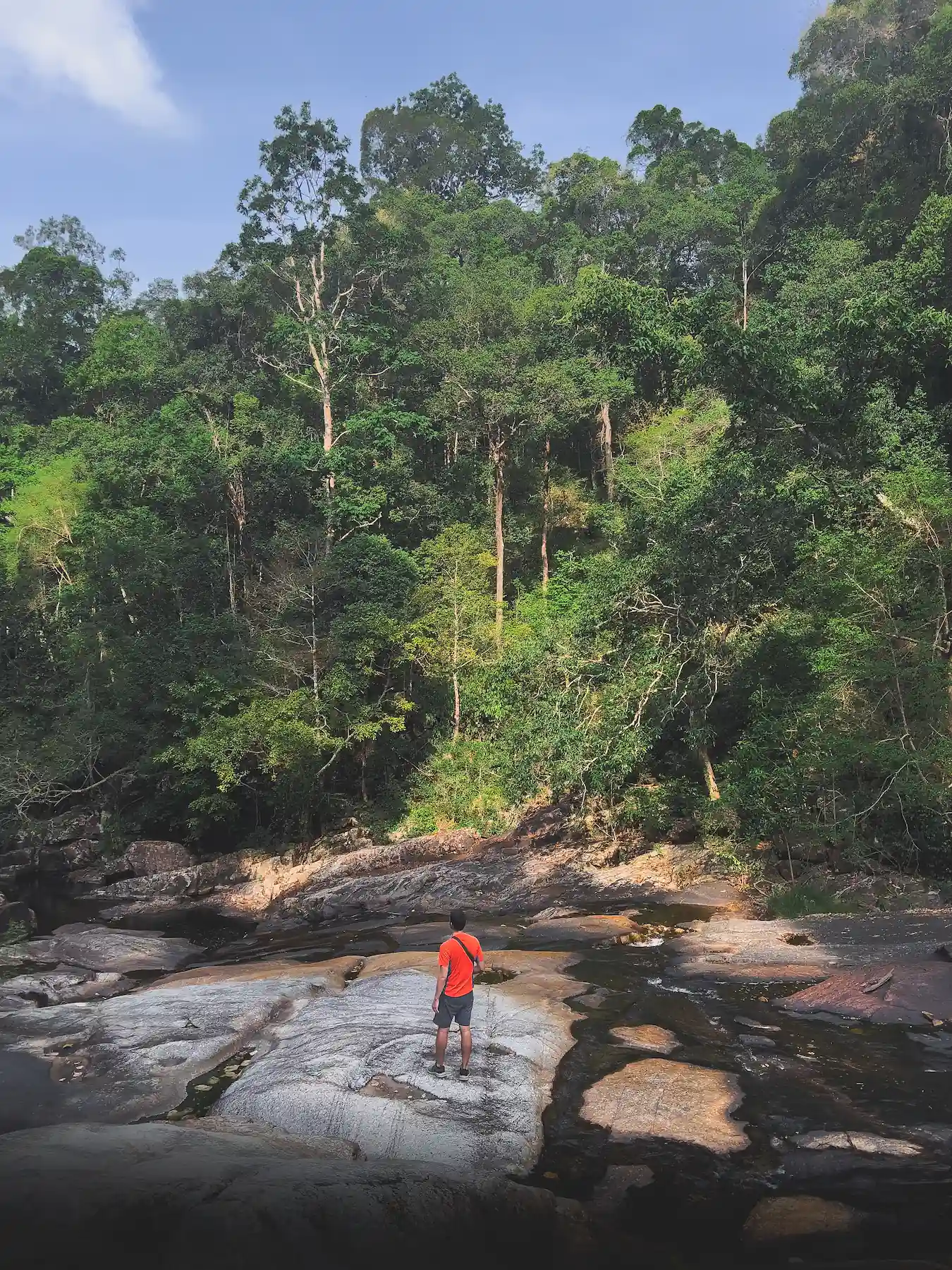 Man in orange shirt stands on rocks in tropical rainforest