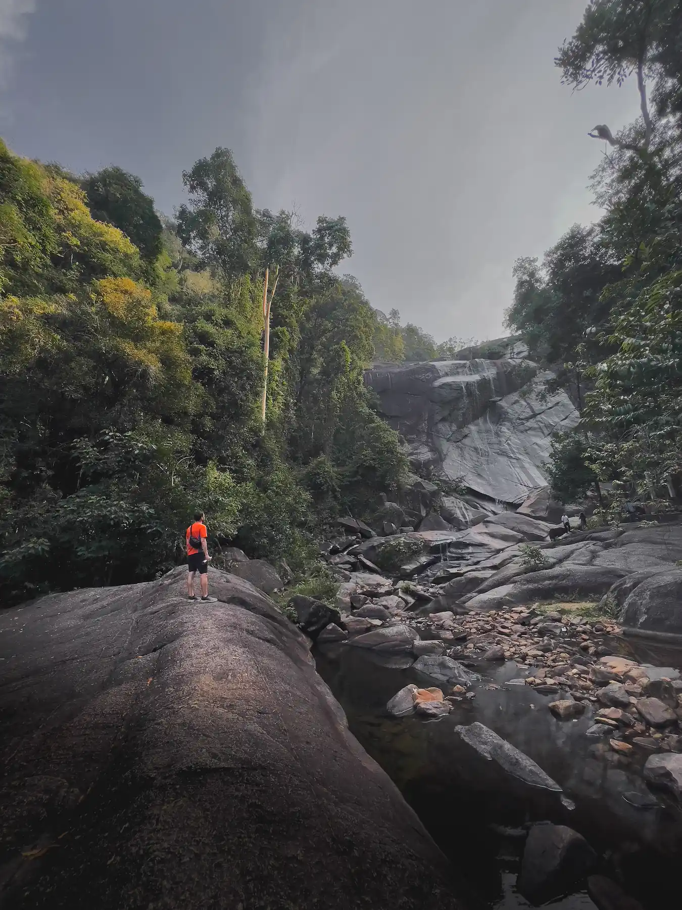Man in orange shirt stands in front of large tropical waterfall